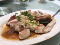 -龙悦湾酒家·八阵鱼生·渔人码头店