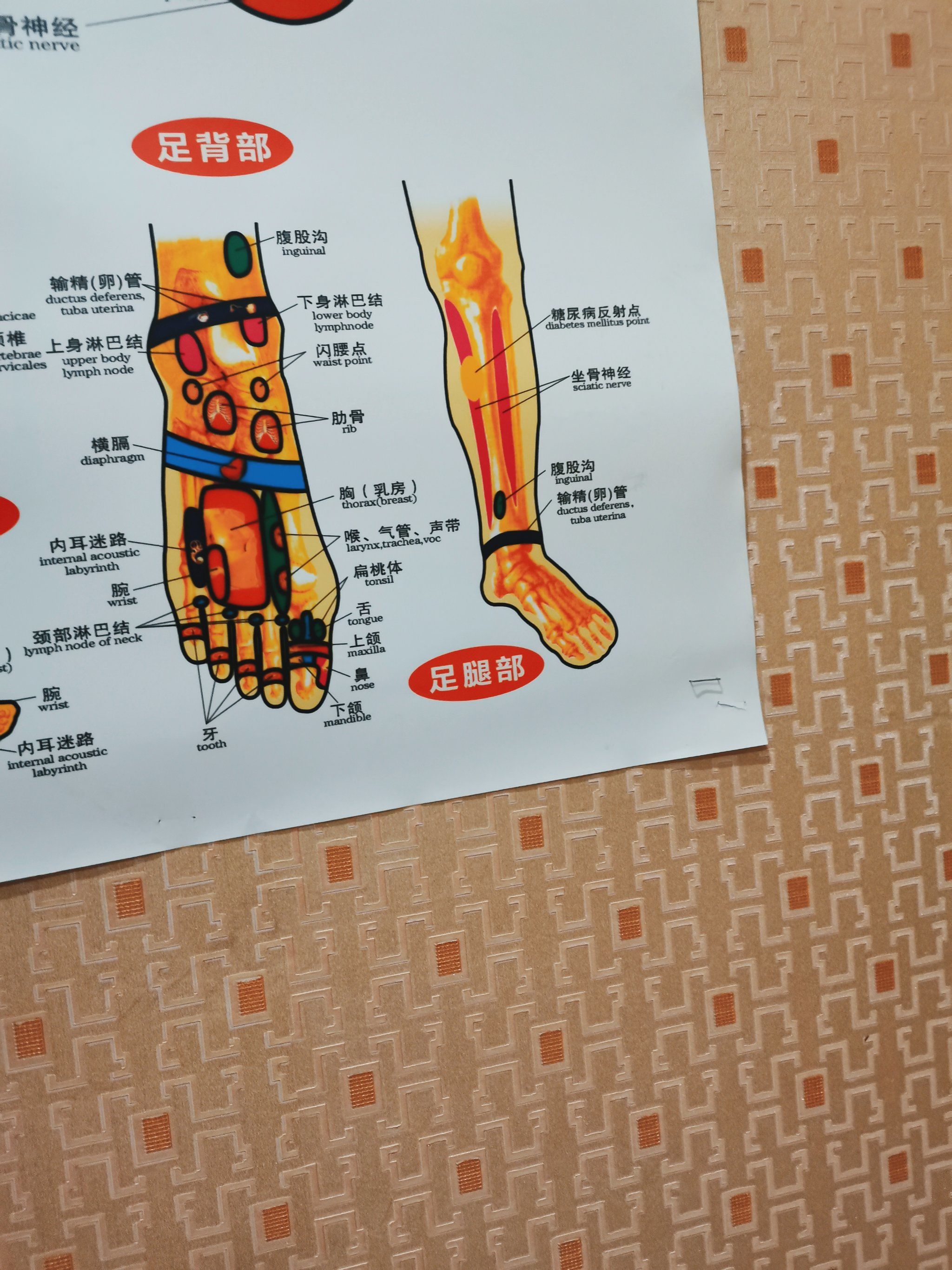 中医按摩 #每天坚持锻炼会有不一样的收获 #足疗按摩 
脚底,脚背