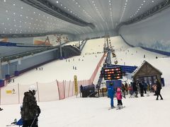 -哈尔滨热雪奇迹