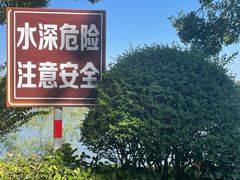 -羊山湖公园