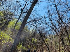 -北京西山国家森林公园