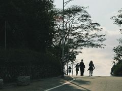 -火炉山森林公园