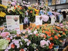 -鹿岛生活(熙地港店)