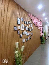 -翎兰瑜伽·普拉提