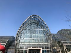 -南山植物园