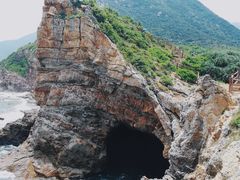 -杨梅坑