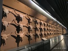-大庆市博物馆