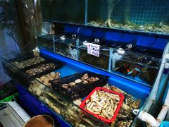 -云南巷海鲜大咖·可加工海鲜