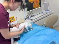 -达爱动物医院·犬猫分区·CT·复杂眼科(远洋山水分院)