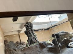 -宁波野生动物园