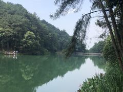 -缙云山景区