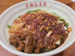 -手擀菠菜面(西康路店)