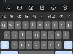 -Apple零售店(深圳益田假日广场店)