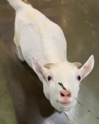 -Zoolung Zoolung动物主题公园(海信广场店)