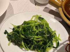 开胃丝瓜尖-鱼翅楼·津派砂锅鱼翅(水上公园店)