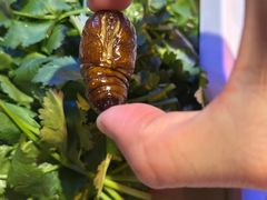 -杨记齐齐哈尔烤肉(总店)