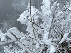 -金子山原生态旅游风景区
