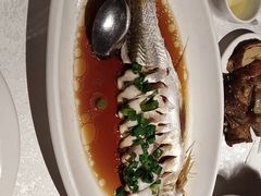 -金美华轩(东方路齐鲁店)