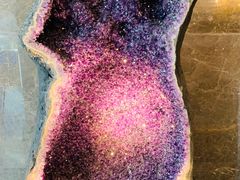 -玄武苏宁诺富特酒店·紫金轩中餐厅