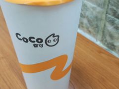 -CoCo都可(江宁托乐嘉店)
