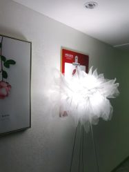 -MIDA蜜哒•科技逆龄美肤连锁
