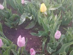 -长春公园(普阳街道)