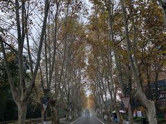-东湖磨山景区