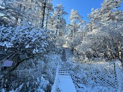 -瓦屋山景区