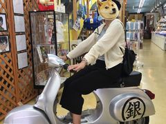 -(株)越後屋デパート