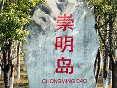-东平国家森林公园