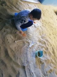 -恐龙探索乐园(磁器口店)