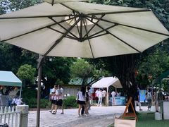-杨梅坑
