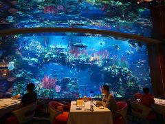 -迪拜帆船酒店海底餐厅