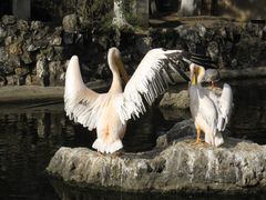 -昆明动物园