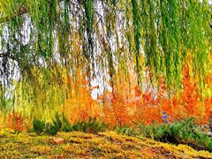 -元大都城垣遗址公园