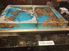 水产区-蟹将军·松叶蟹和牛日料放题自助(K11店)