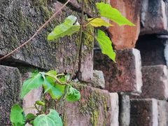 -半岛1919创意园区