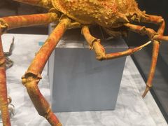 -天津自然博物馆