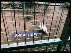 -深圳野生动物园