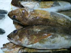 -木柴豆腐·活海鲜·鲁菜