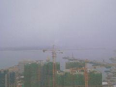 -柴犬小屋·柴餐厅·狗咖食堂(金鼎广场店)