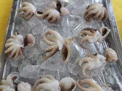 冰镇八爪鱼-肥姐美食(同福中路店)