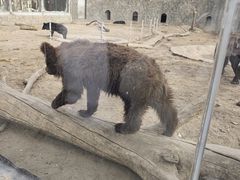 -鄂尔多斯野生动物园