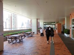-香港大学