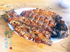 -望湖烤鱼