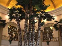 -圣爵菲斯大酒店(长沙世界之窗店)