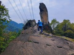 -南山植物园
