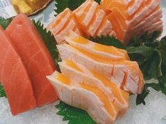 生鱼片刺身拼盘-酒吞(七宝领展广场店)