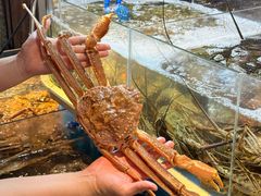 -黑木原精致料理·铁板烧