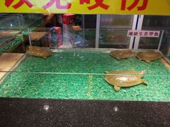 -洪湘记川湘·甲鱼馆(四海凯悦美食广场店)